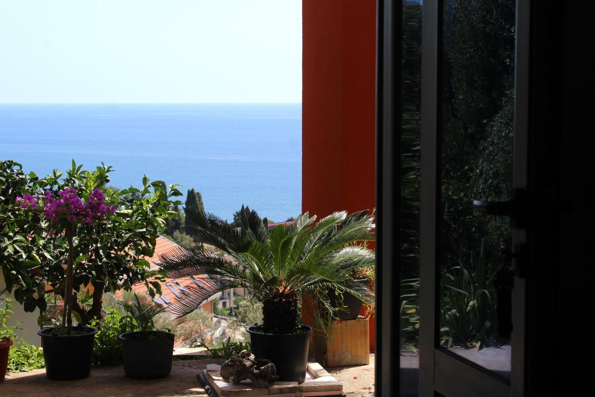 אולסינץ' Apartments Olga מראה חיצוני תמונה