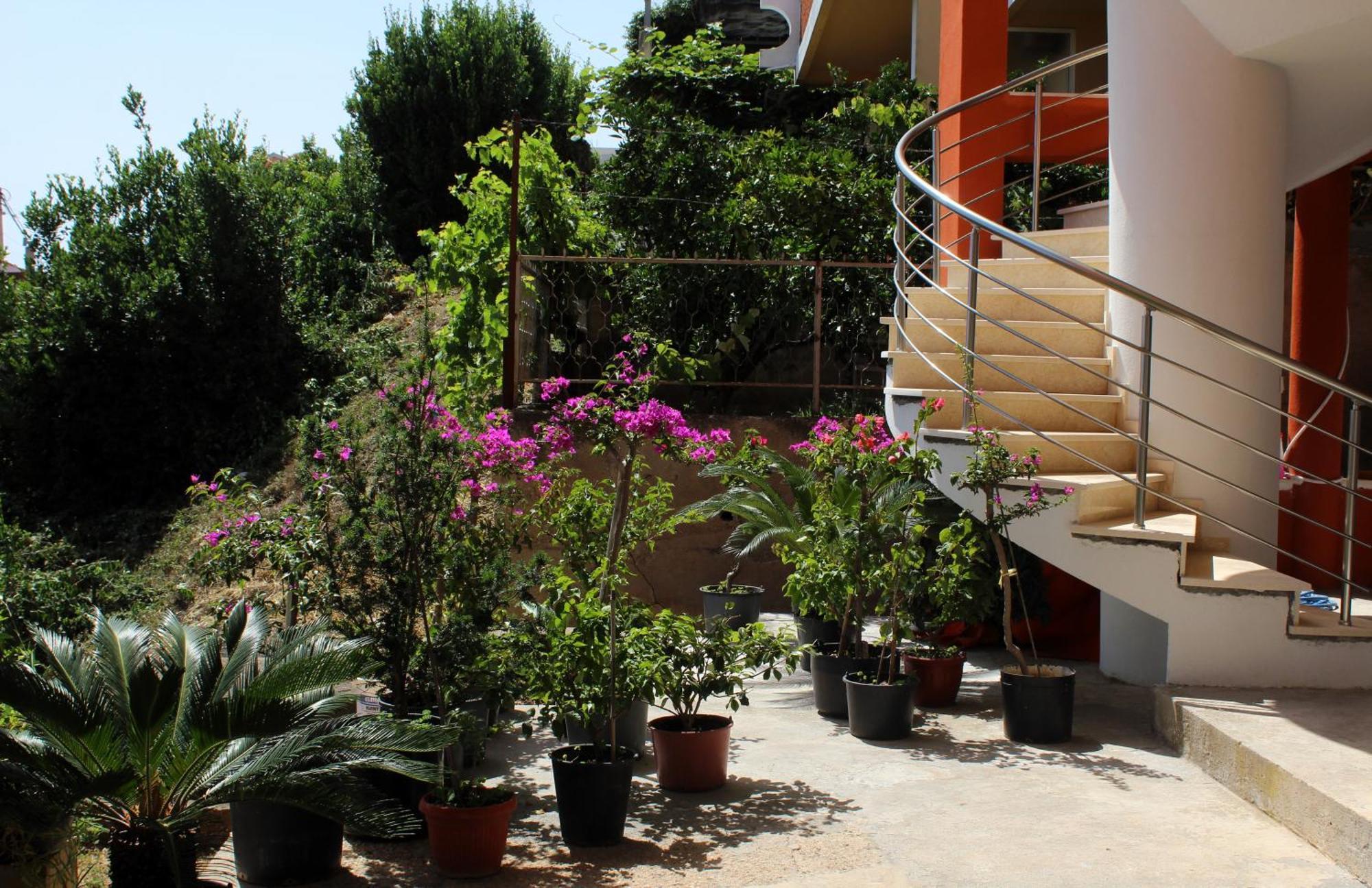 אולסינץ' Apartments Olga מראה חיצוני תמונה