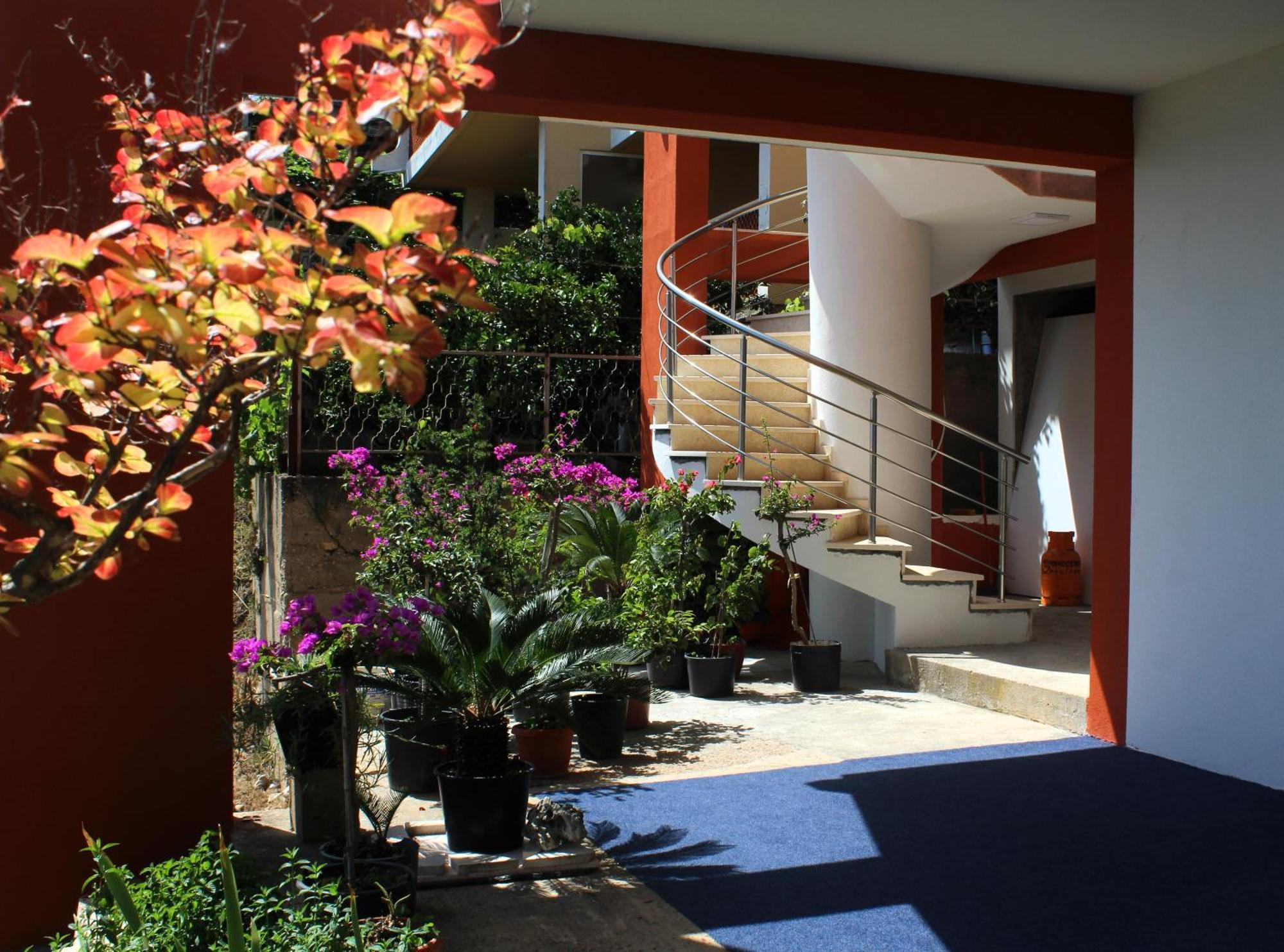 אולסינץ' Apartments Olga מראה חיצוני תמונה