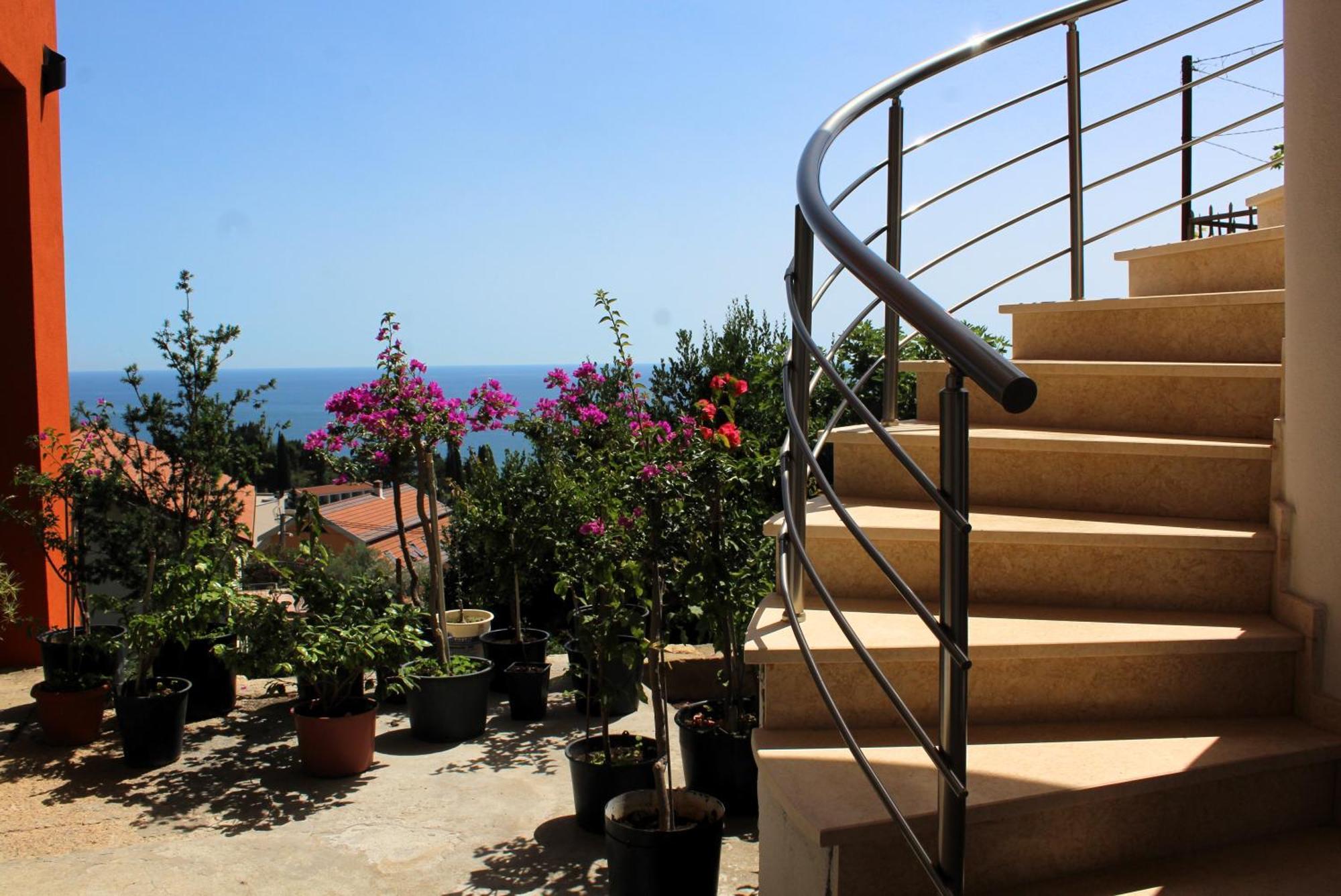 אולסינץ' Apartments Olga מראה חיצוני תמונה